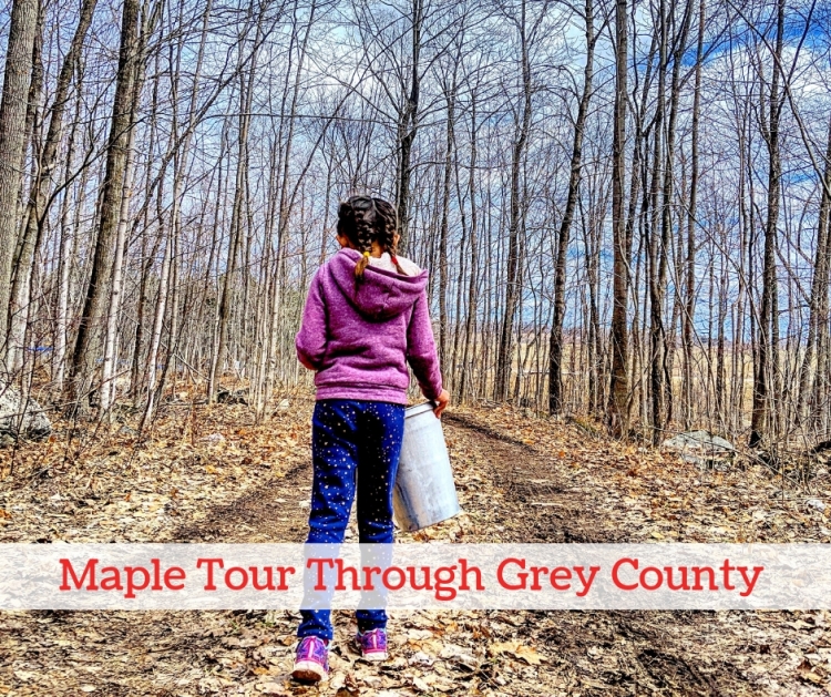 maple road trip Canada, things to do in Canada, visiting a sugar bush in ontario, maple tour Ontario, maple tour grey county, where to learn about maple in Toronto, toronto road trips