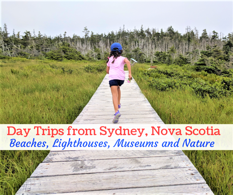 day trips from sydney cape breton, things to do in sydney ns