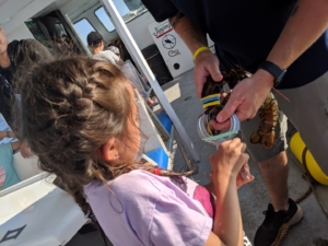 lobster fishing in pei things to do