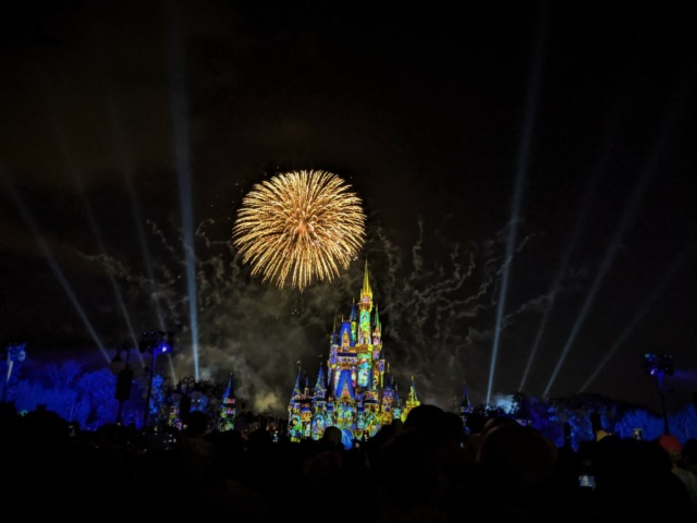 DIsney World Fireworks