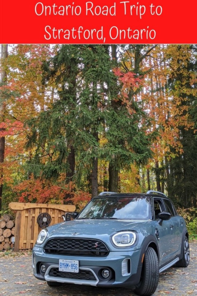 car in forrest in Stratford