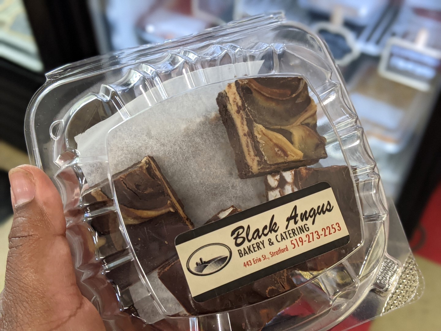black angus Chocolate trail Ontario