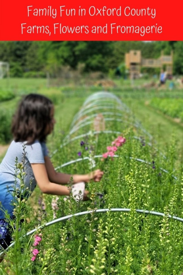 Family Fun in Oxford County