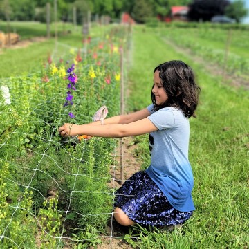 Girl picking flowers at Ontario Farm