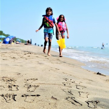 A Day at Long Point Provincial Park