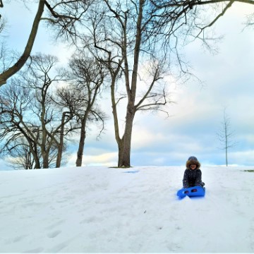 Niagara on the Lake Winter Fun