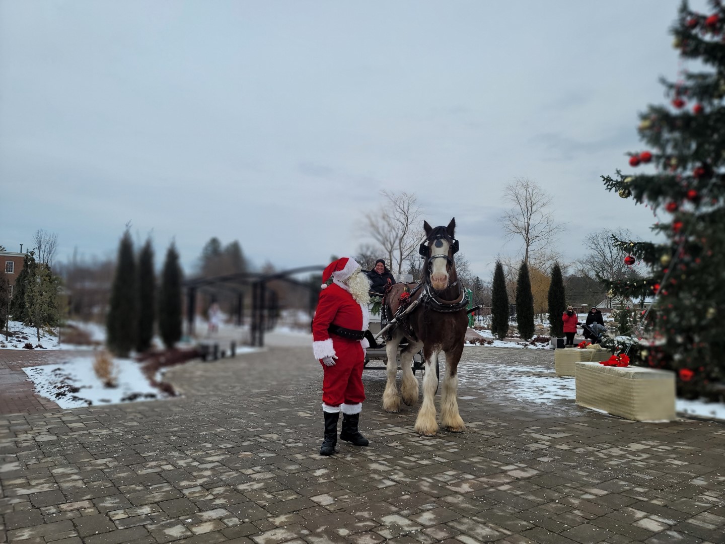 santa with horse carriage