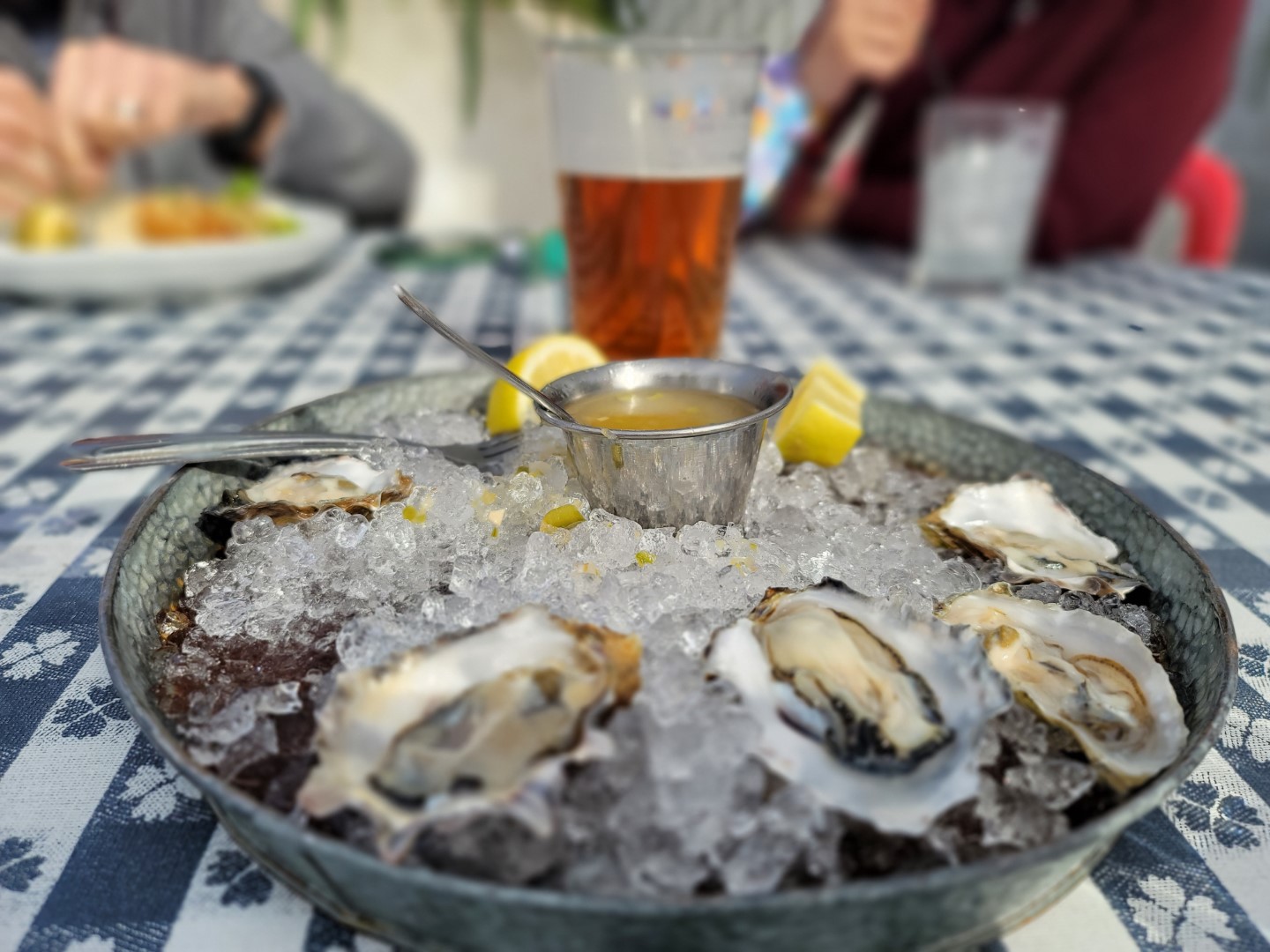 oysters and beer on checkered table 