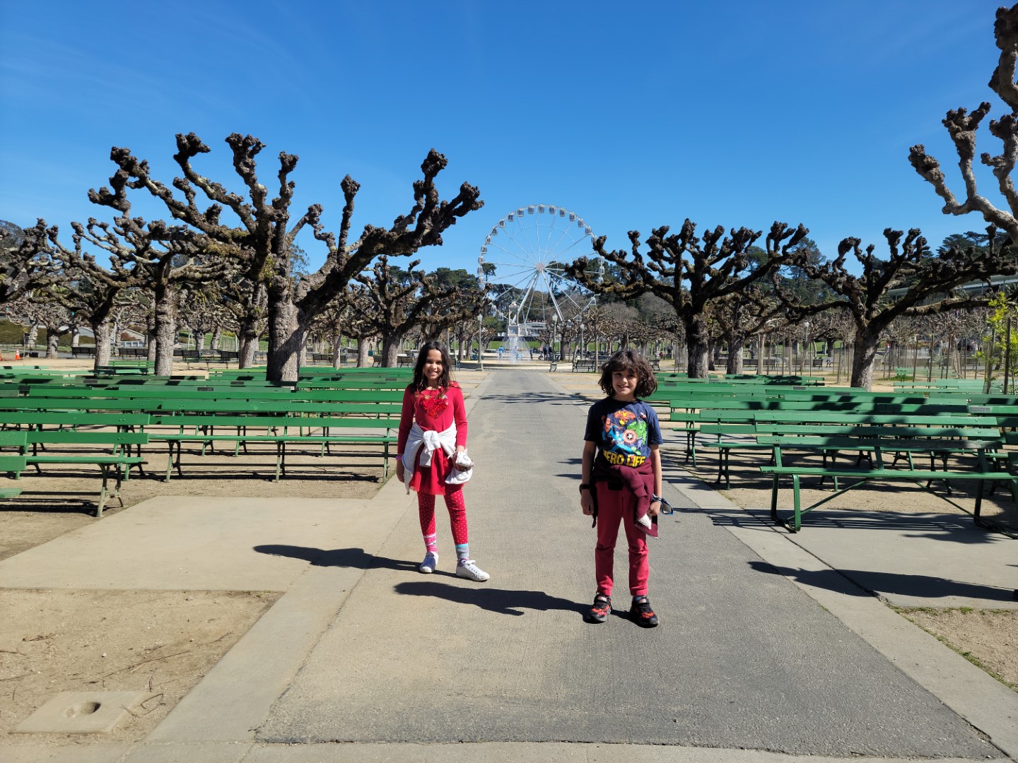 kids standing next to trees at Golden Gate Park