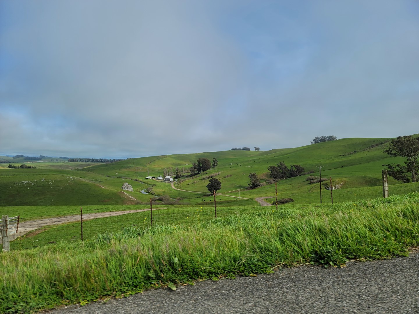 lush green hills in Bodega Bay California with kids