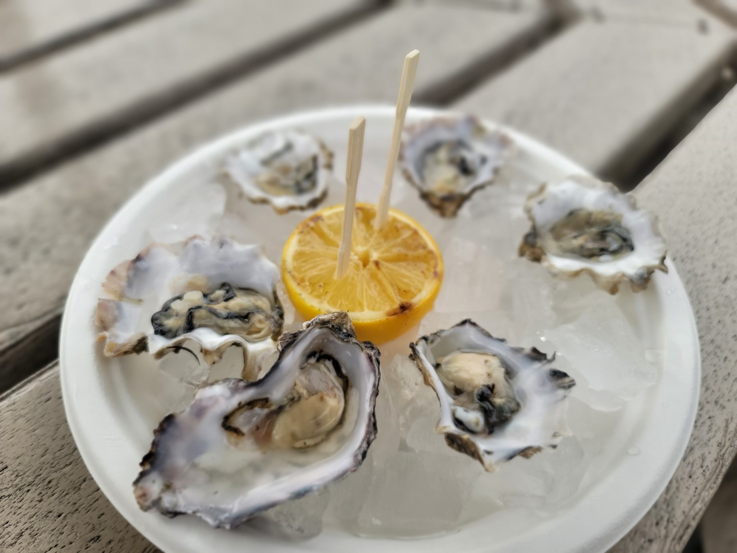 oysters on a tray with a lemon