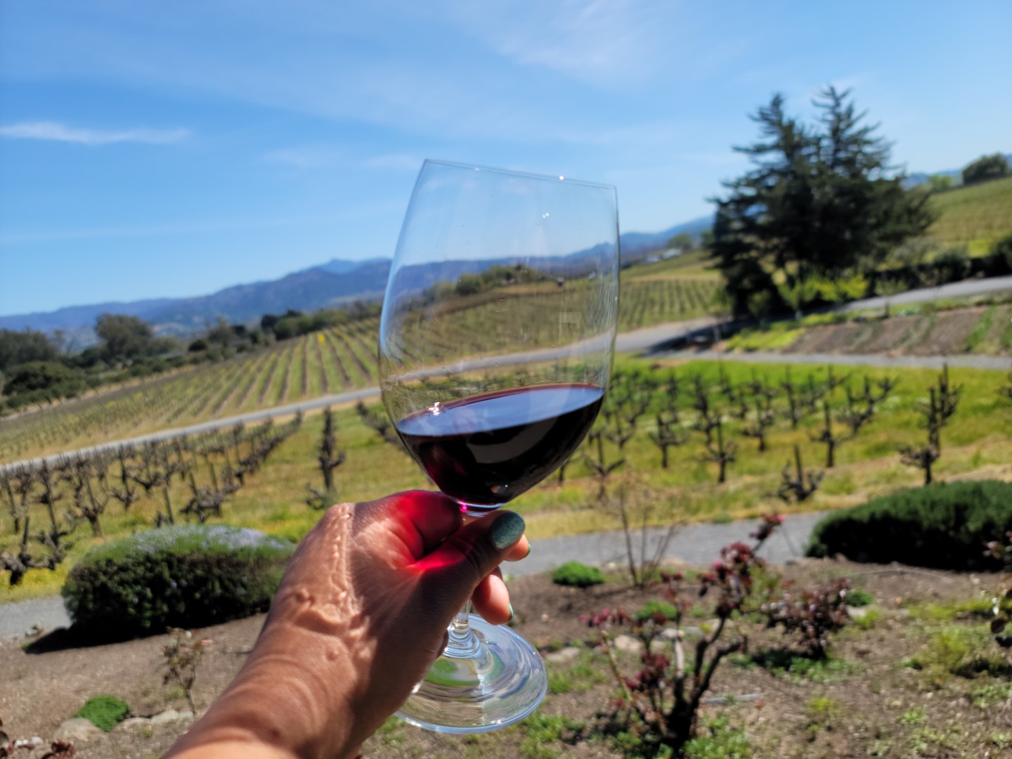 wine glass in hand at Sonoma Winery on sunny blue sky day