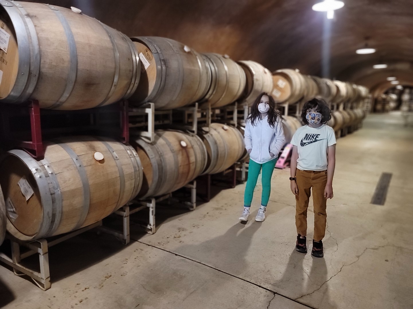 kids in Sonoma Winery barrel room