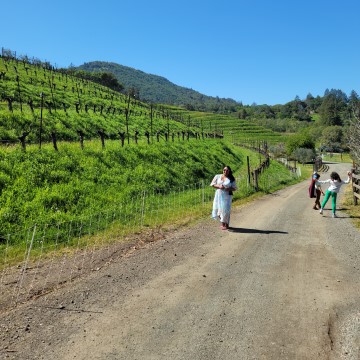Sonoma with Kids | California Family Vacation