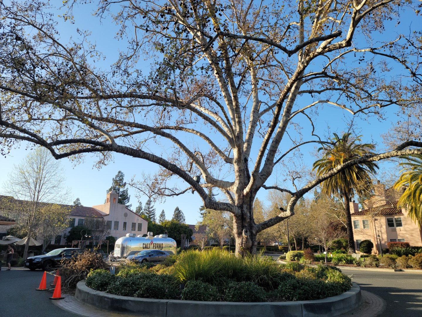 Courtyard of Fairmont Sonoma Mission Inn and Spa with tree and food truck