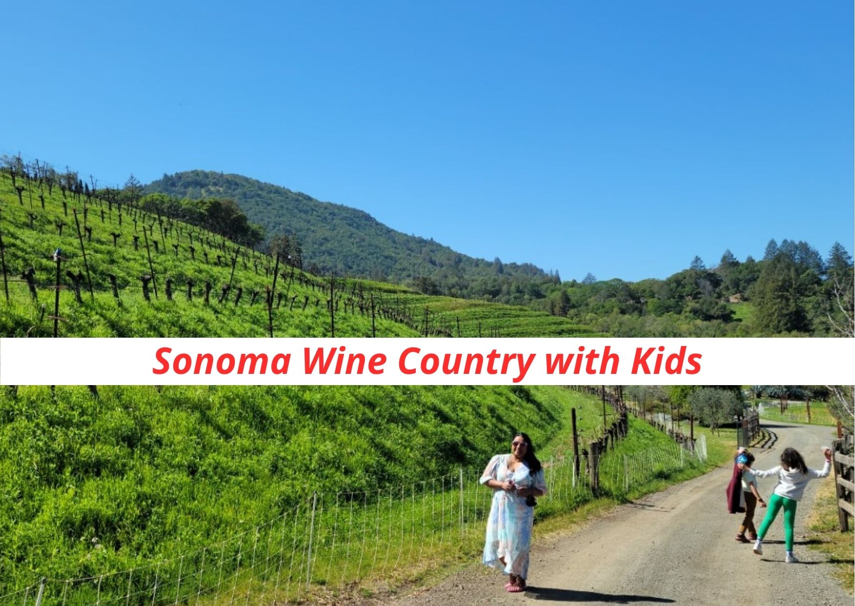 mom standing with a glass of wine in hand at a Sonoma winery with kids running in background