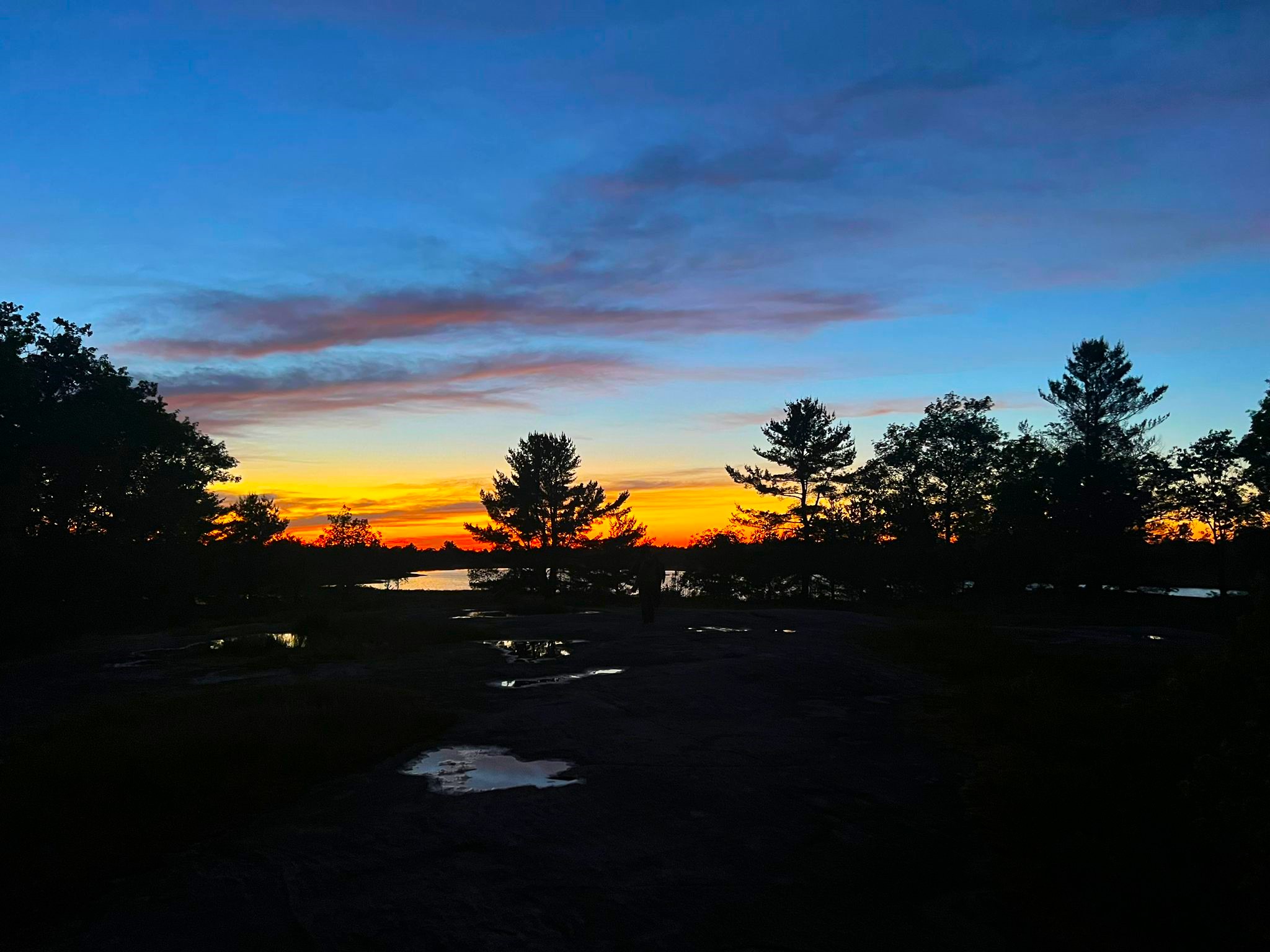 sunset with blue skies and dark trees