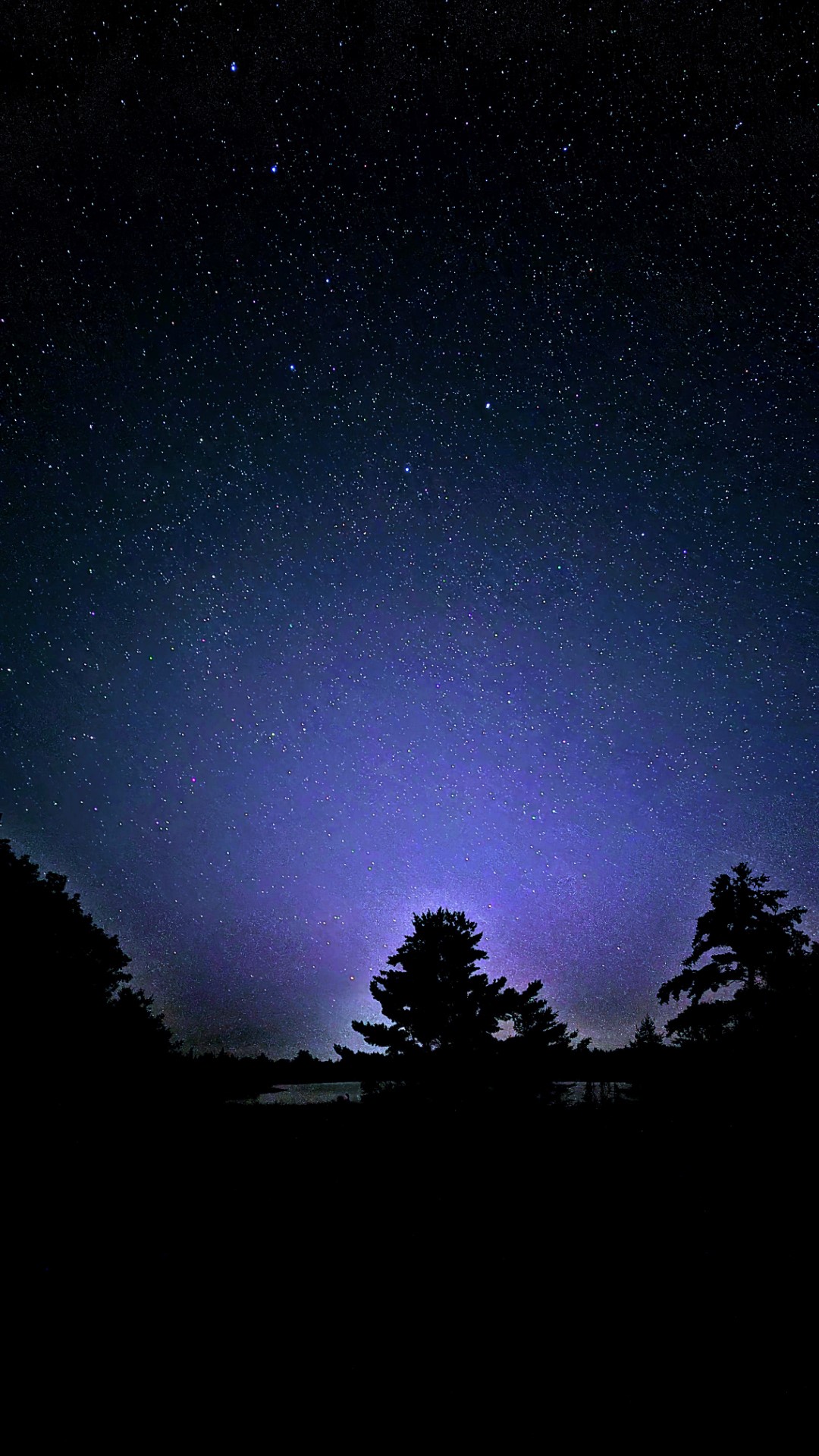 Starry night at Torrance Barrens