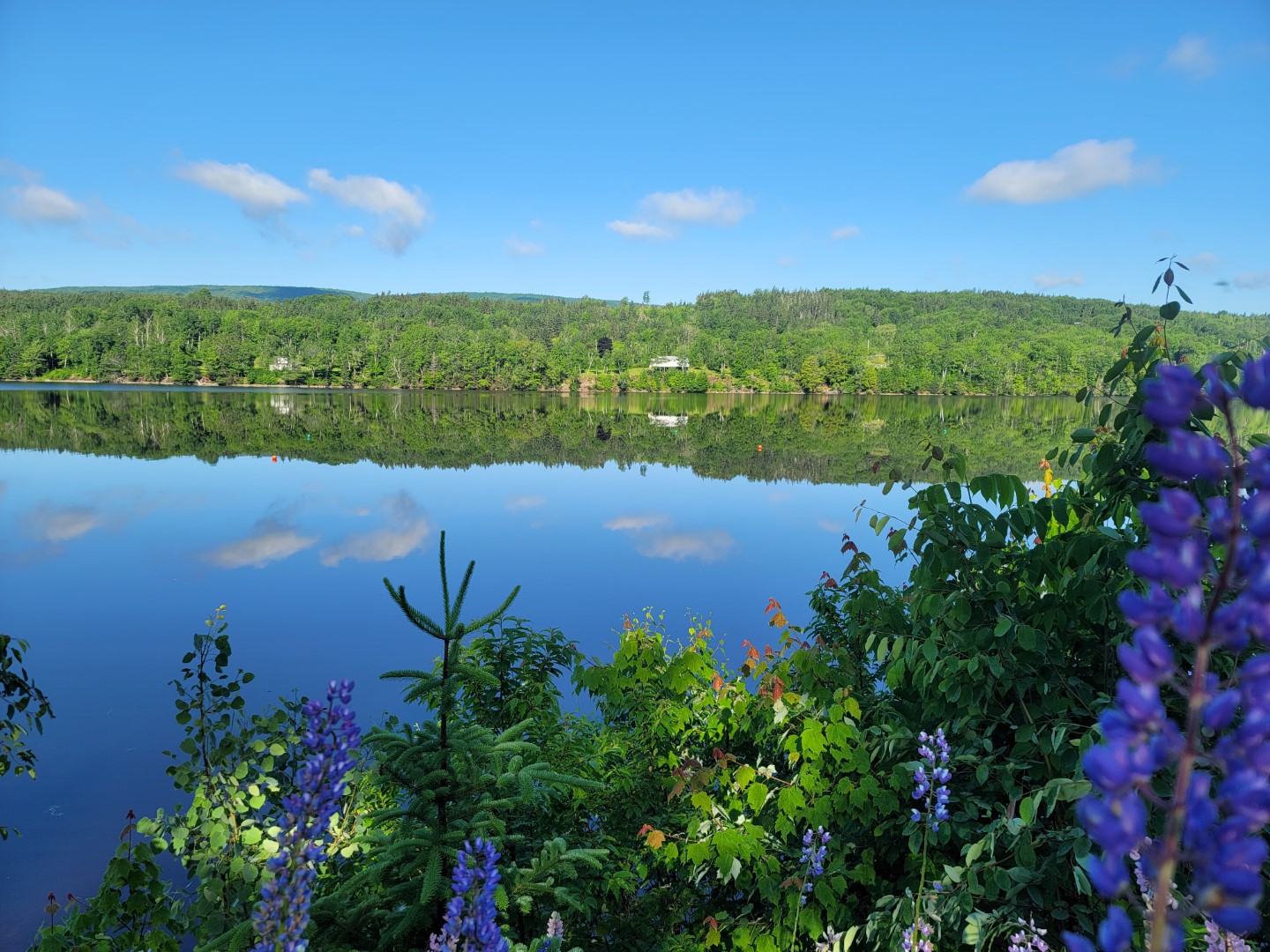 reflections driving the Cabot Trail in Summer