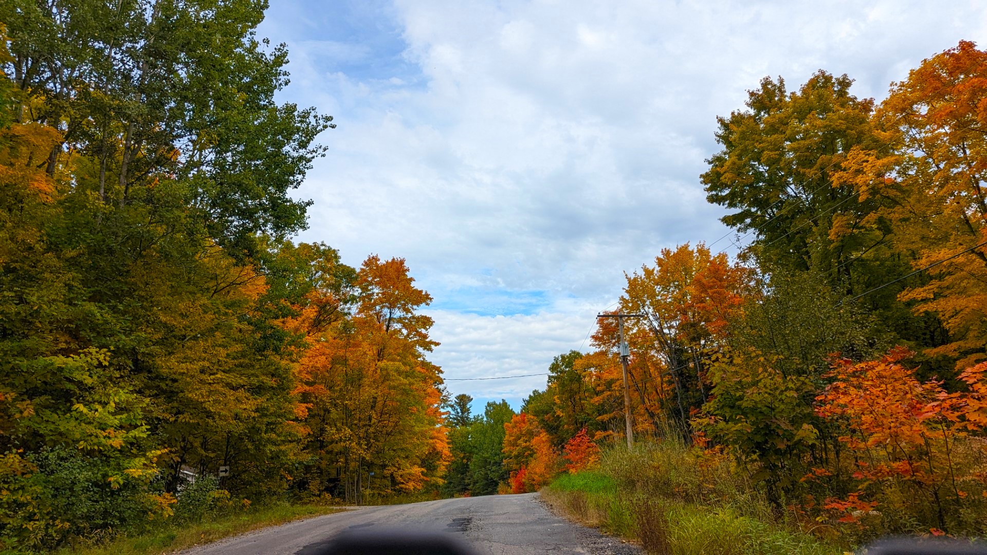 Trees changing colours in Muskoka during the fall