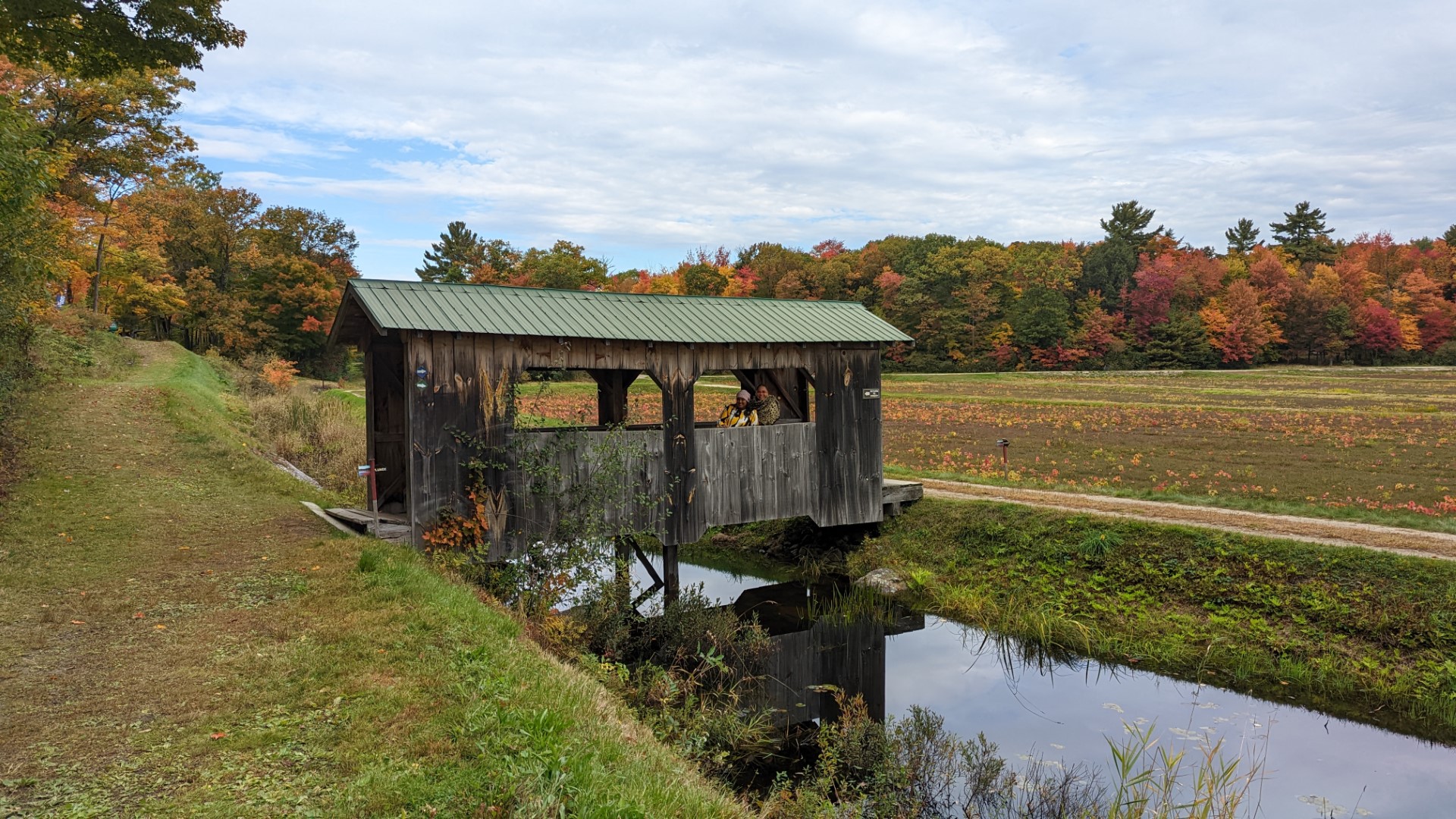 Fields at Cranberry farm in Ontario