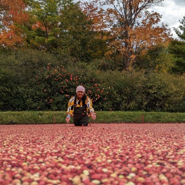 Yashy Cranberry Fall drive