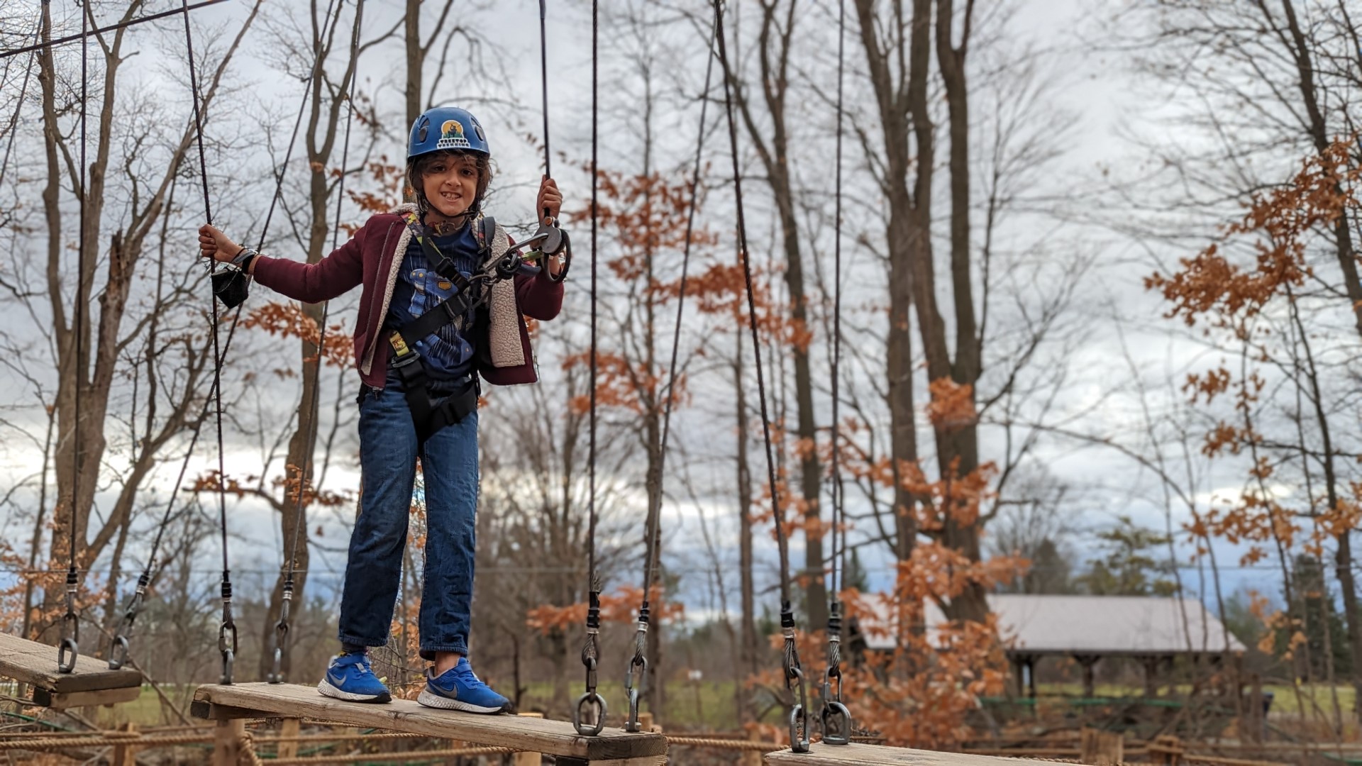 boy at treetop trekking