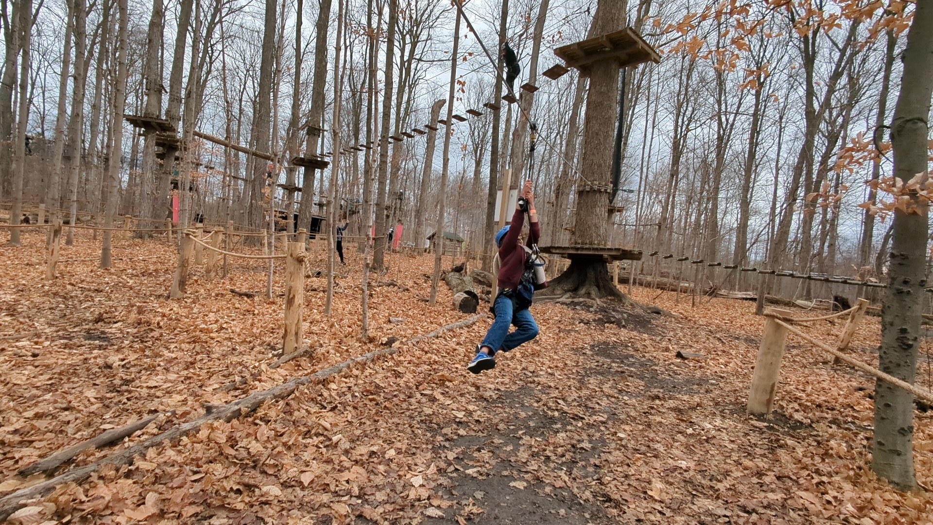 boy on zipline during the fall months 