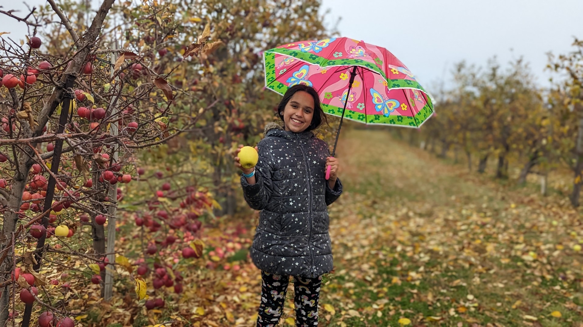 girl wearing grey jacket holding yellow apple and umbrella