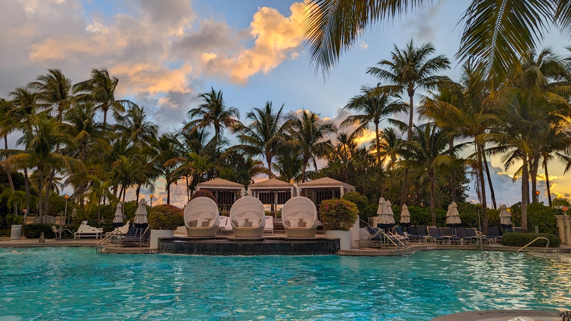 Loews Miami Beach Hotel pool