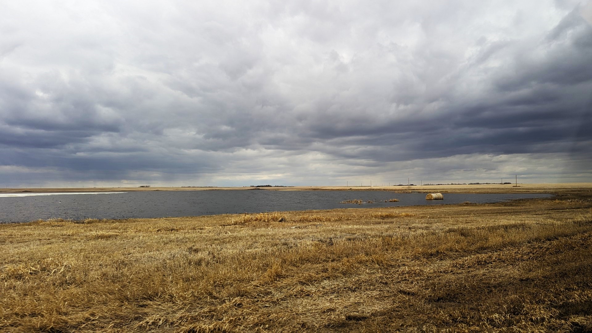 wheat field in Moose Jaw with Moody Skies