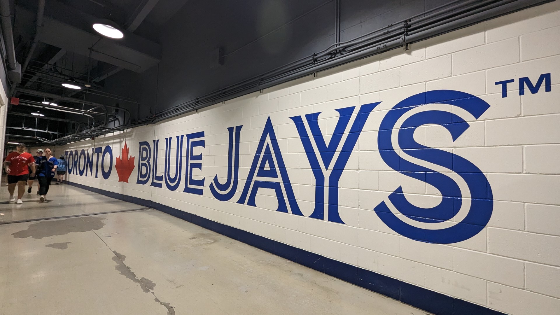 Toronto Blue Jays sign with people