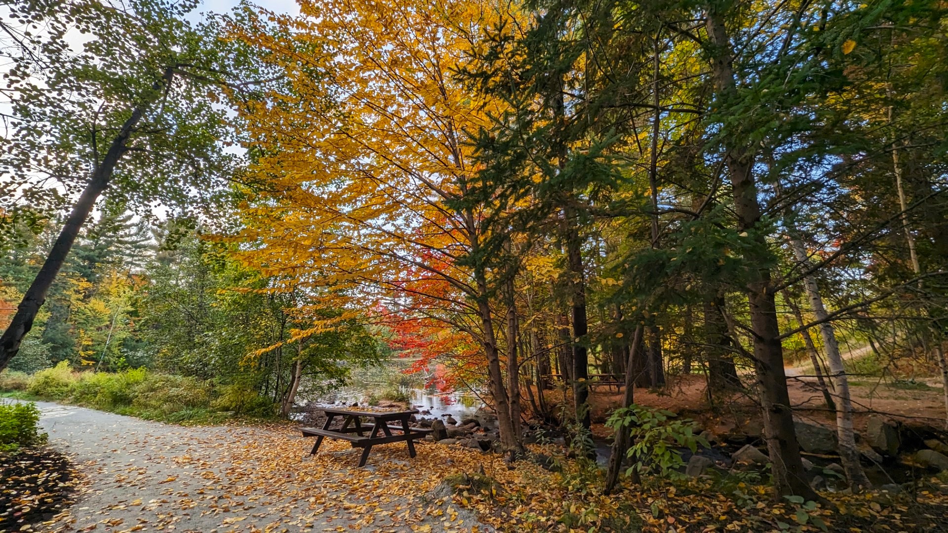 fall colours in Tremblant