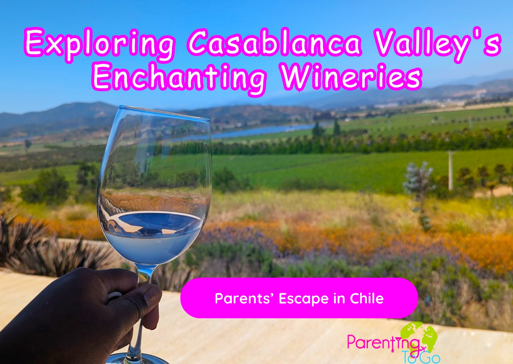 Chile winery trip 