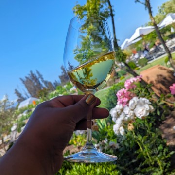 Chile winery visit