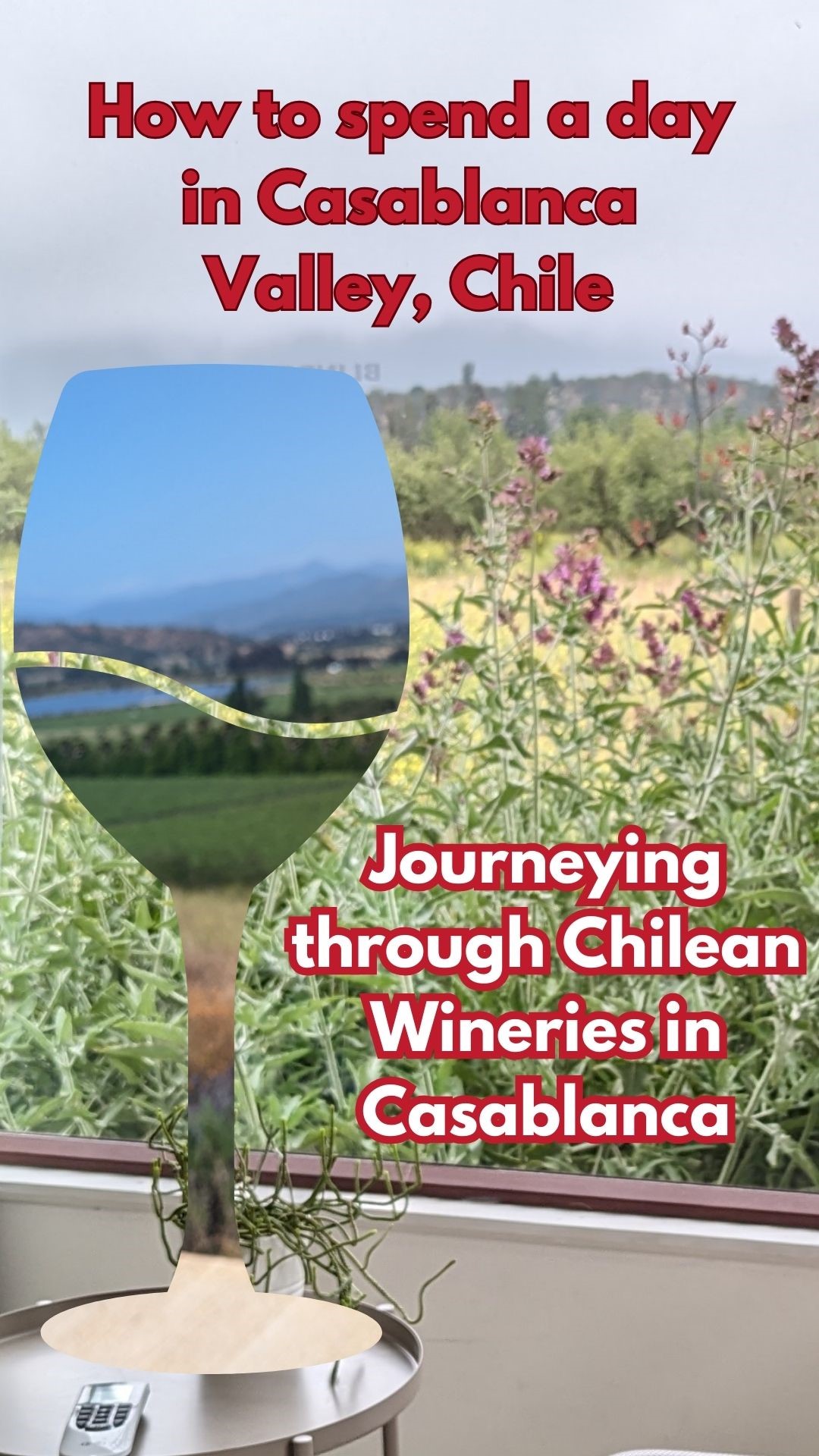 How to spend a day in Casablanca Valley, Chile 