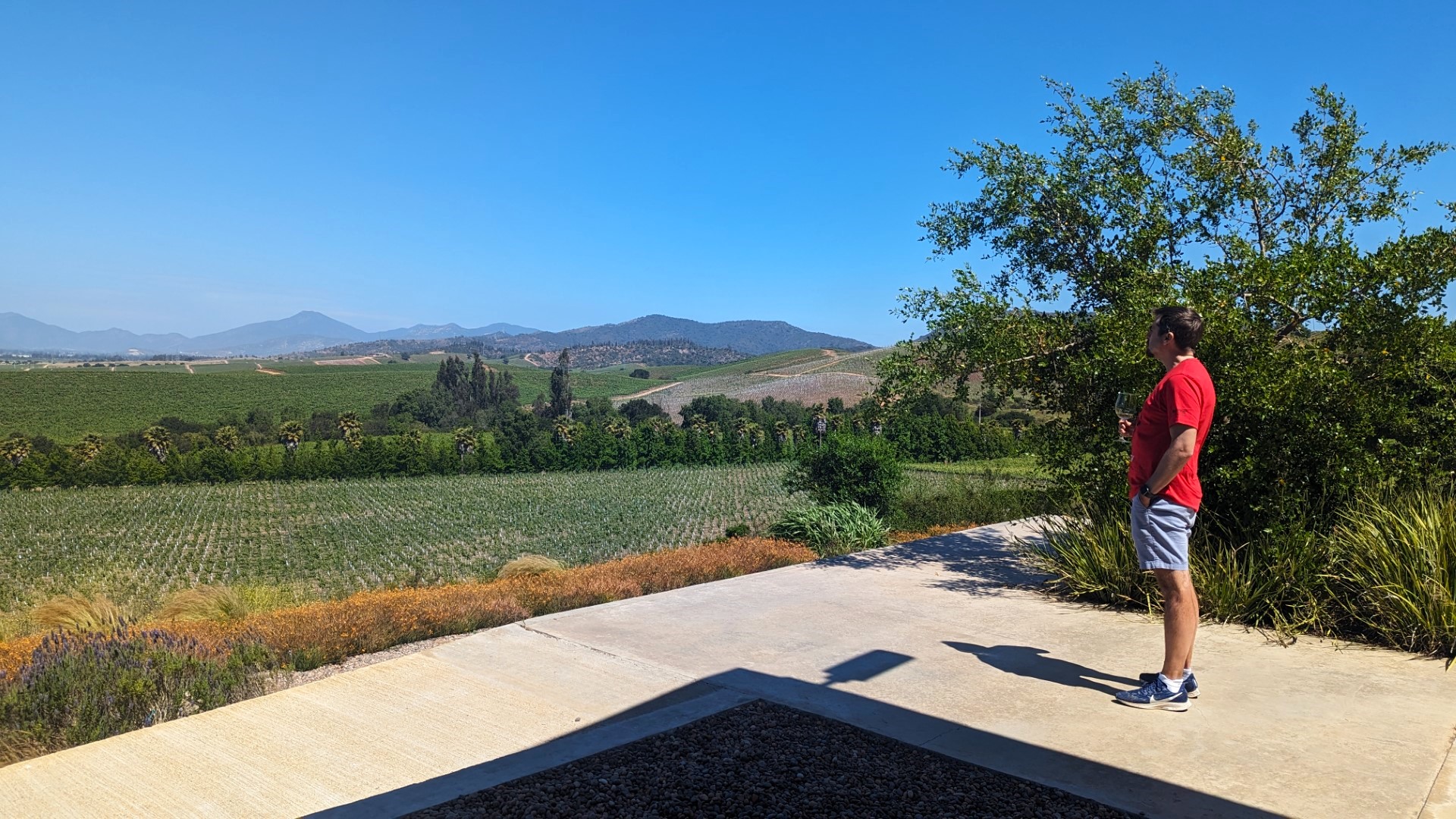 Man looking out over Chilean winery