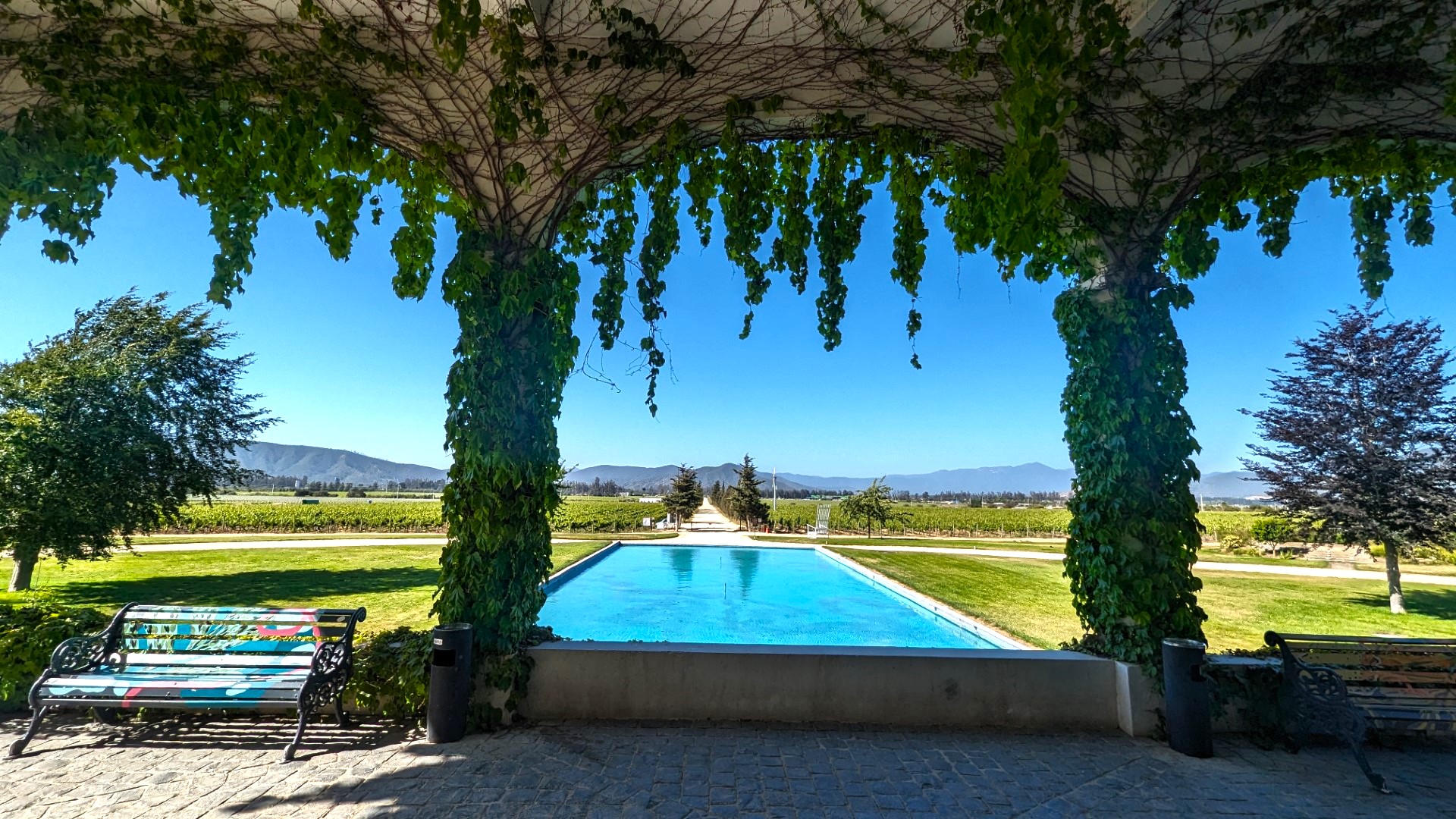 Vina Mar Chilean Winery visit