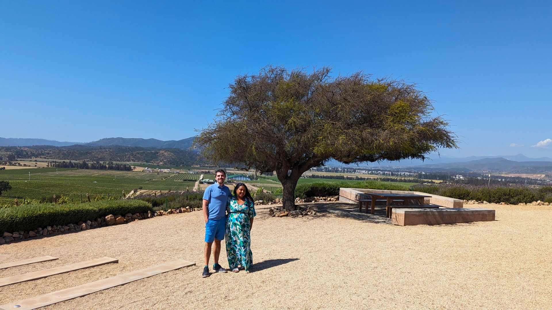 Chilean winery roadtrip