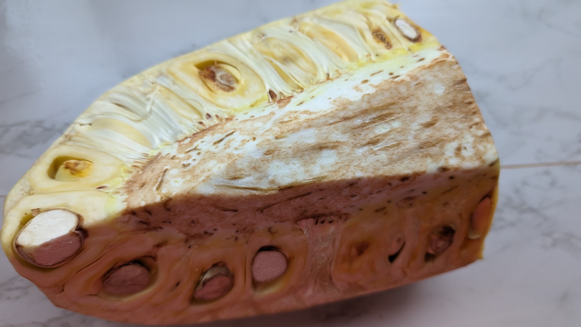 Inside of a Jackfruit