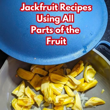 Cooking Jackfruit : Jackfruit Recipes for Every Part