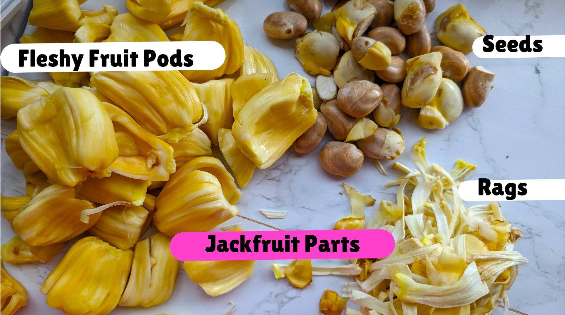 Jackfruit Parts 