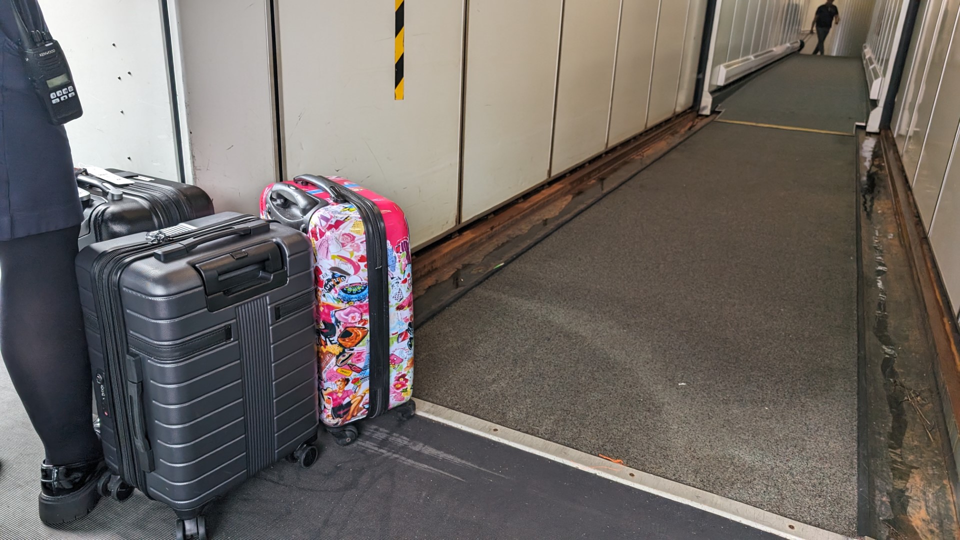 Pal airline hand luggage