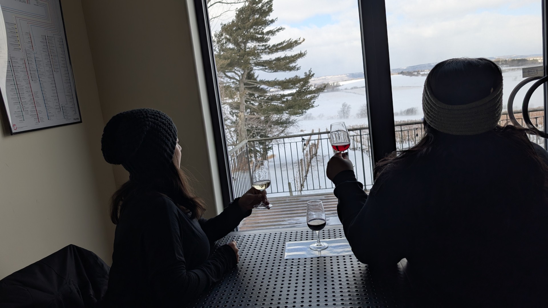 winter vineyard views with wine in hand