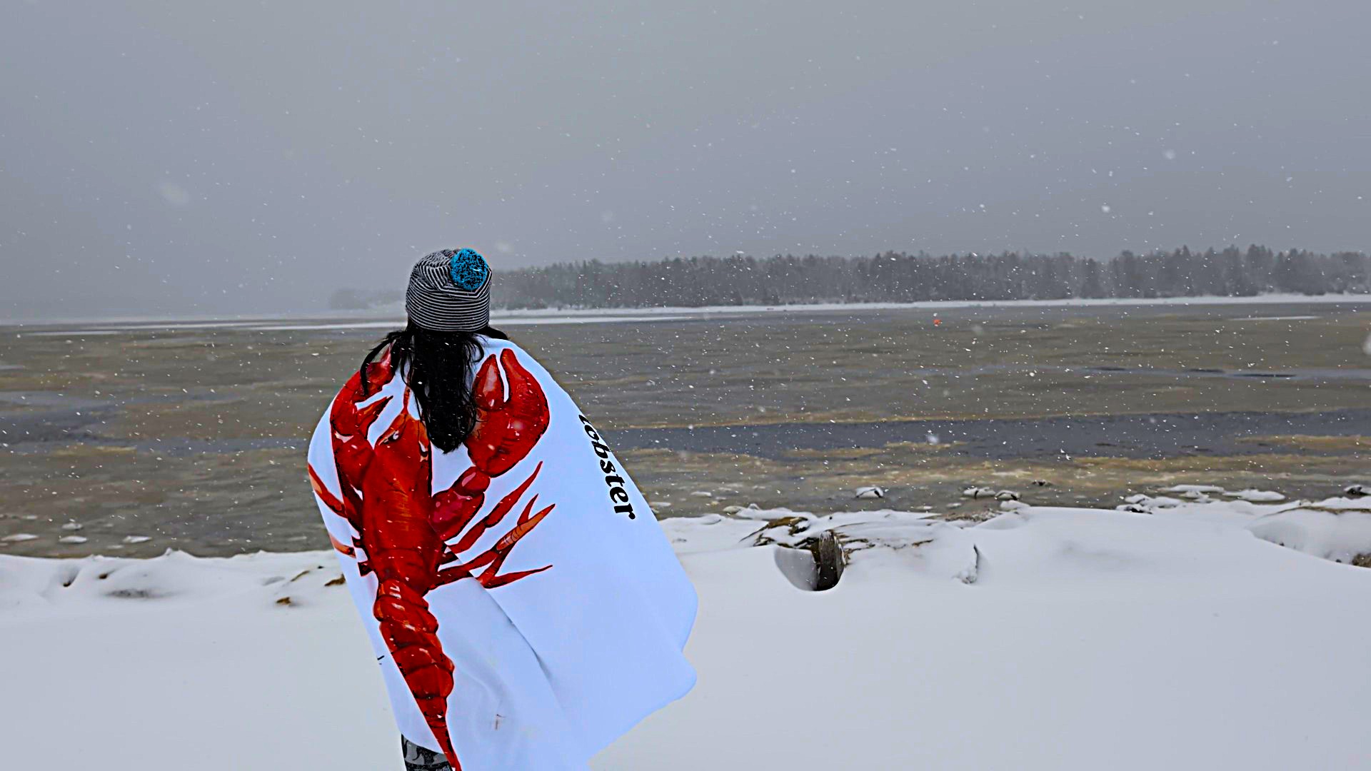 Person with lobster towel by beach