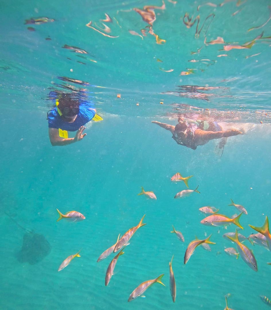 Swimming in St. Maarten's underwater sculpture