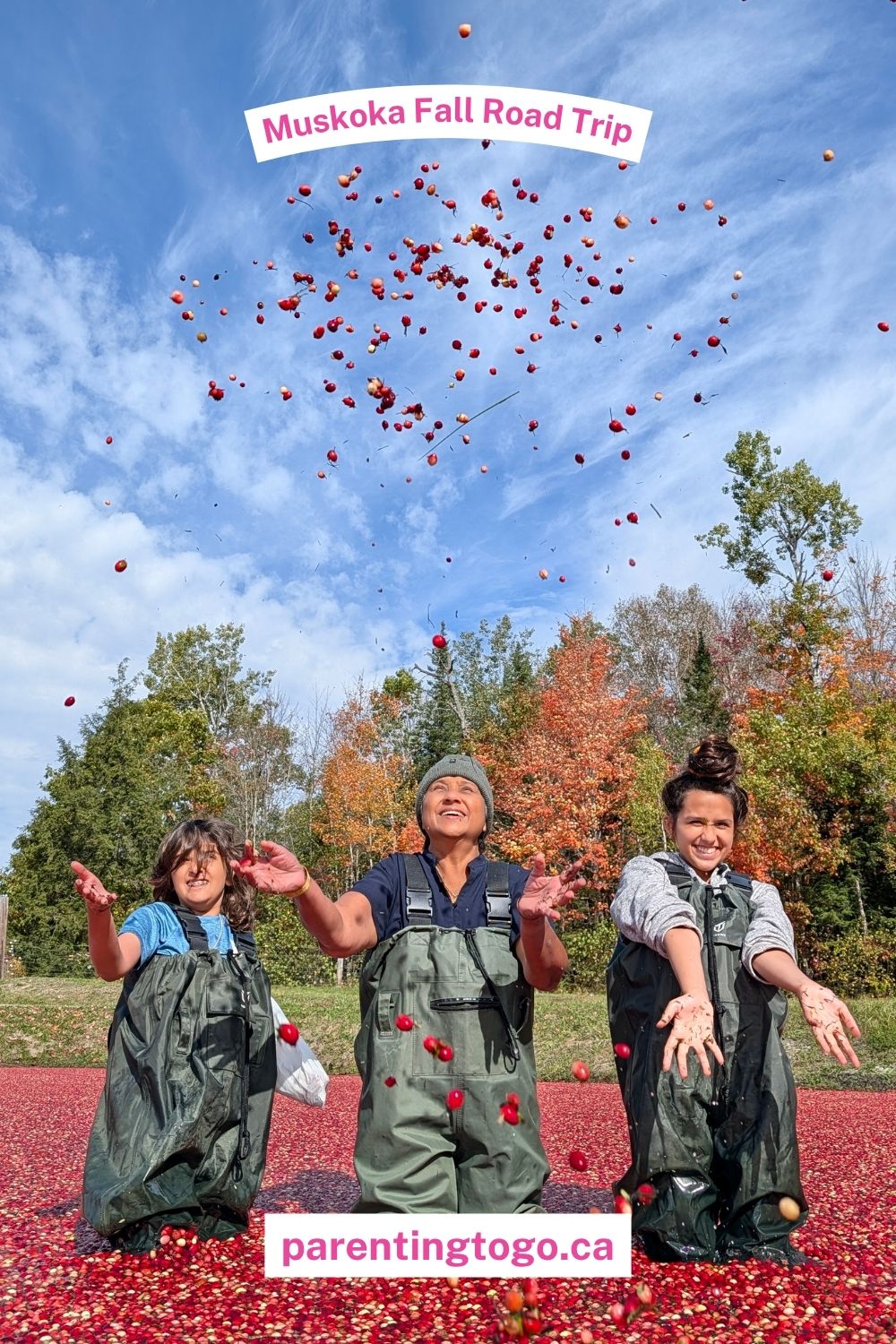 Muskoka fall itinerary