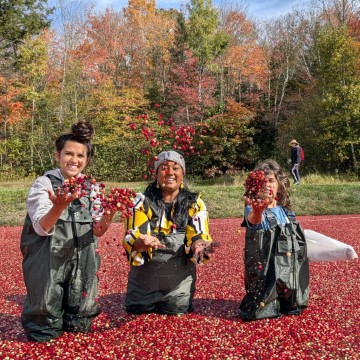 A Cozy Fall Road Trip to Muskoka with Kids and Grandparents | Cranberries, Cabins & Family Adventures