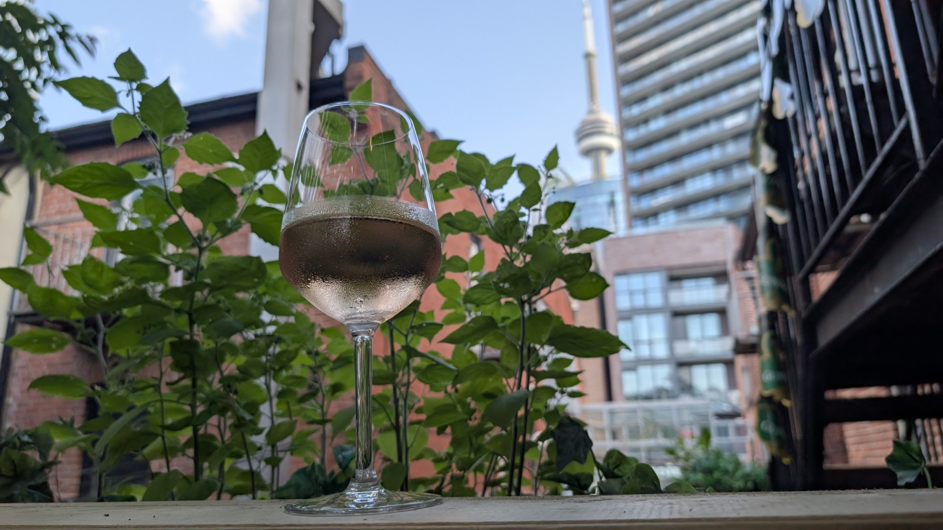 Toronto happy hour wine