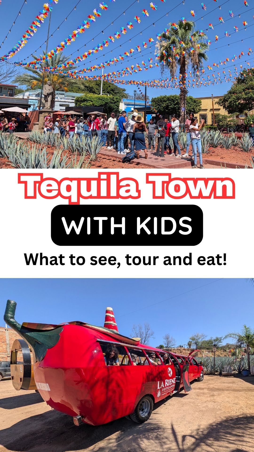 Things to do in Tequila Town with kids